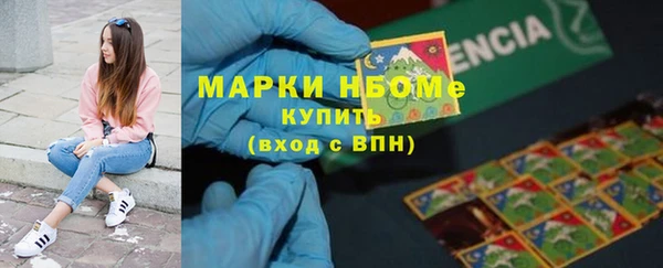 шишки Костерёво